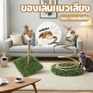 【GZF】ไม้ตกแมวรูปนก ไม้ล่อแมว ของเล่นแมว นกมีเสียง ไม้ตกแมวสปริงเกลียว วัสดุสปริง ไม่ใช่เรื่องง่ายที่จะเท