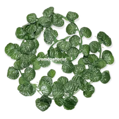 Daun Rambat Besar Lusinan Panjang +- 240 CM (ISI 12) Daun Anggur Bulat Daun Anggur Daun Lvy Daun Watermelon Daun Sirih Gading