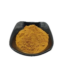 Xanthium Extract 1kg package water-soluble powder quality guaranteed samples available ready stock free shipping