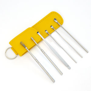 Stainless Steel Spiral Earwax Cleaning 6-Piece Set Portable Ear Digging Earwax Removal Earpick Ear Cleaner Spoon