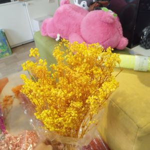 Sỉ Bó Hoa BABY Khô Size Lớn 5 đến 7 Cành 1 Bó  Loại 1 Chuẩn Đẹp - decor- bình hoa- hoa khô trang trí cafe trà chanh trà sữa quán ăn Trùm Sỉ Gia Thành