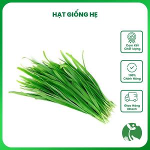 Hạt giống Hẹ ta gói 1gr (Trồng một lần ăn quanh năm)