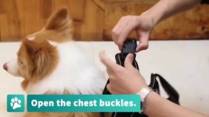 ✨ Y-Shaped Tactical Dog Harness Anti-Pull Heavy-Duty & Durable with Leash – For Large/Strong Dogs ✨