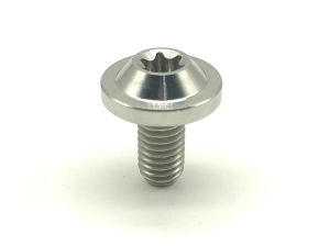 1pc Vitaltitanium Grade 5 Titanium Bolts M5x10 12 15 20 25 30 35 40mm T25 Torx Titanium screw titanium fasteners ti bolts for bicycle part for mortorcycle part multiple colors pvd black/golden/rainbow/blue/silver high quality titanium bolts export US EU