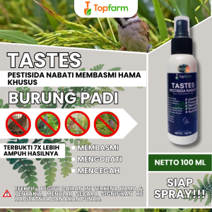 Obat Pembasmi Burung Pada Padi / Obat Semprot Padi Hama Burung / Obat Pengusir Burung Pada Padi / Obat Padi Hama Burung Pipit / Obat Burung Padi