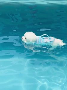 Pet Dog Life Jacket Swimming Suit Summer Small and Medium-sized Dogs Shiba Inu Teddy Playing Water Clothes Puppy