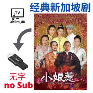 USB Singapore Drama 新加坡经典电视剧 2008 小娘惹 Little Nyonya 华语无字