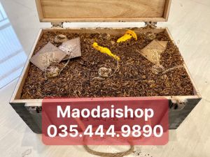 (Cao cấp) 01 thùng mao đài thượng hạng hạ thổ 15 năm chính gốc Quý chau (mao đài hạ thổ)