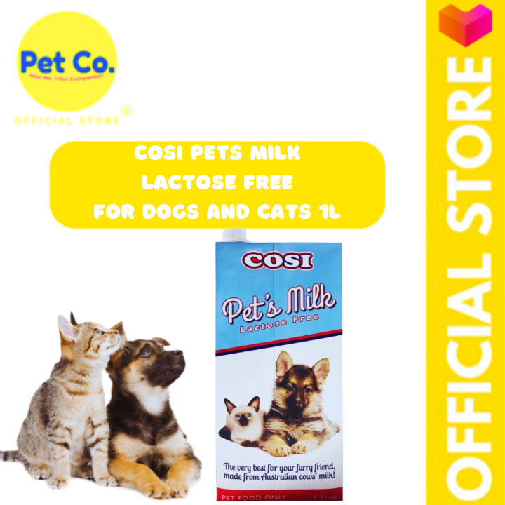 Cosi Pet Milk Lactose Free Milk Good For Cats Is Lactose Free Milk