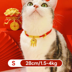 yoyopet : ปลอกคอแมวสายมู ปลอกคอนำโชค ด้ายแดง เครื่องประดับ เชือกแดง จี้ทอง ปลอกคอสัตว์เลี้ยง มีหลายขนาด