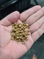 Biovet Royal Pet Cat Food Makanan Kucing Premium Superfood Kibble Untuk Bulu Gugur Gebu Gemuk 2.5kg 5.0kg 7.5kg Original. 