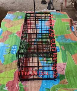 กรงดักอีเห็น ดักดัวเงินตัวทอง ดักพังพอน ดักนกกวัก ดักนกกระปูด และสัตว์อื่นๆได้หลายชนิด กรงกว้าง26เชนยาว67เชนสูง26เชนใช้งานง่ายติดเร็ว