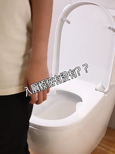 Convenient Toilet Seat Cover Toilet Cover Seat Cushion With Handle Zipper Style Warm and Clean