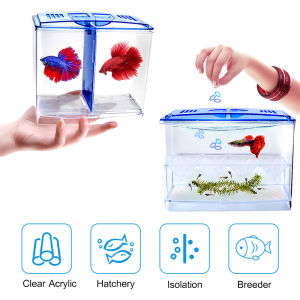 PANDA Aquarium mini akrilik Soliter ikan cupang Akrilik pembibitan ikan kotak solasi inkubator Ikan Breeding Box Isolation Box Acrylic Aquarium Tank Betta Fish Bowl Guppy Breeding Hatching Isolation Box [Stok&PengirimanCepat]