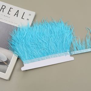 PRIMEPICKGLOBAL 1 Meter Ribbon Tassel Natural Ostrich Feathers 8-10cm Wide Sewing Decoration Feather Plumes Ribbon Selvage Handmade Fluffy Texture Ostrich Feathers Trim Wedding Party Decoration