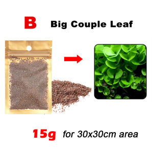 เมล็ดพันธ์ุไม้น้ำ ต้นไม้ปลูกในน้ำ ซองละ 5กรัม มี6พันธุ์ พร้อมวิธีการปลูก ปลูกง่าย โตไว