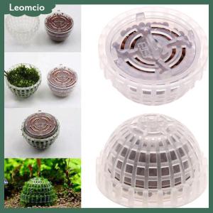 [Leomcio] Aquatic PET Supplies ตกแต่งตู้ปลามอสบอลสดพืชกรองสัตว์เลี้ยงตกแต่ง