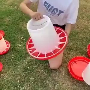1.5/3KG Automatic Poultry Feeder Chicken Bucket Chicken Duck Goose Drinker Fodder Barrel Container Bekas Makanan Ayam