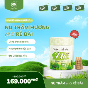 Nhang Nụ Trầm Hương Mix Rễ Bài Mộc Lâm 80g Trầm Hương Tinh Khiết Giao Hòa Rễ Bài Hương Thơm Mới Lạ