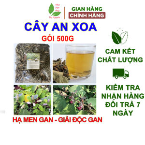 Cây an xoa khô gói 500g trà an xoa cho người gan nhiễm mỡ men gan cao mỡ máu hạ men gan rất thơm và uống ngon