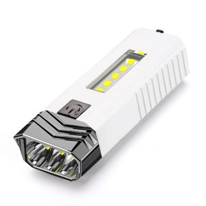 Multipurpose Outdoor Mineral Lamp: A Comprehensive Guide