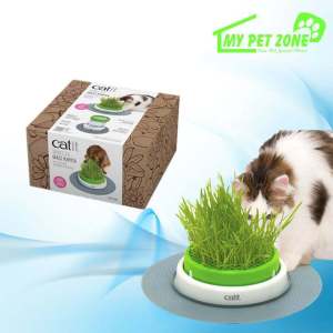 Catit Sense 2.0 Grass Planter (Not Include Seed & Vermiculite)