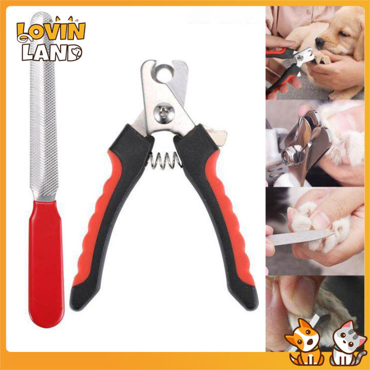 Lovinland Pet Nail Clipper Cutter Claws Scissor Dog Nail File Trimmer for  Dog Cats Animal Grooming Nail clippers Lazada PH