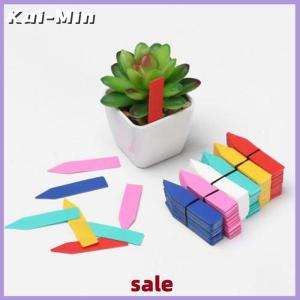 Kui-Min 100pc 5x1cm Plants Labels Indoor Bonsai Name Tag Plastic Multicolors