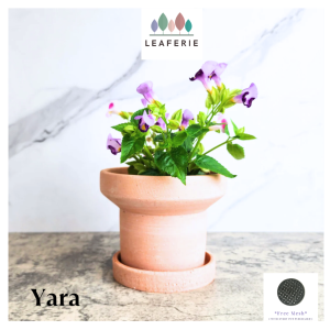 The Leaferie Yara plant pots. Terracotta flowerpot . flowerpots . flower pot . planter . planters . Flowers