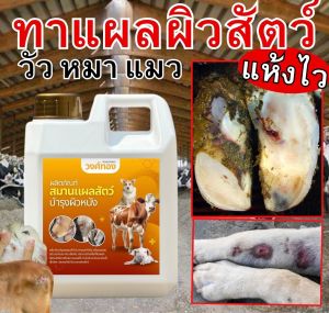 WT น้ำยาวงศ์ทอง น้ำยาสมานแผลสัตว์เลี้ยง ขนาด 1 ลิตร ป้องกันแมลงรบกวน บำรุงขนสัตว์ ปลอดภัยไม่เป็นอันตราย สัตว์สามารถเลียได้