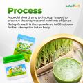SBG Salveo Barley Grass Powder Original in Jar 280 grams - Boost your Health and Immunity Effectively FDA Approved. 
