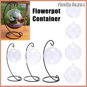 【Pinellia flowers】 Clear Ball Vase Landscape Terrarium Succulent Hanging Flowerpot Container