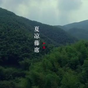 Factory Direct Ice Silk Baby Small Pillow Tea Fragrance Pillow Summer Children Buckwheat Shell Pillow Baby Cooling Pillow Pillowcase