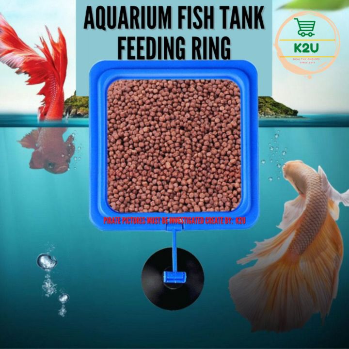 AQUARIUM Fish Tank Feeding Ring Lazada