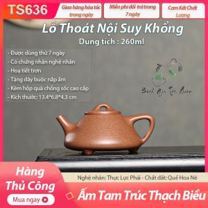 ⚡️SALE⚡️Ấm Tam Túc Thạch Biều – Quế Hoa Nê – Thực Lực Phái – 260ml – Nội suy khổng