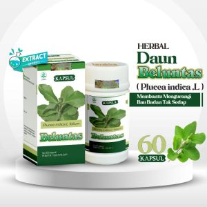Kapsul Beluntas Tazakka Asli Obat herbal Menghilangkan Bau Mulut Dan Bau Badan Isi 60 Kapsul