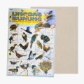 Poster Anak - Poster Edukasi Anak Lembaran – Herbivora / Carnivora / Omnivora / Reptiles / Insectivora / Unggas /Pustaka Baru. 