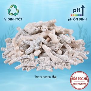 San Hô Trắng 1KG  Vật Liệu Lọc Trang Trí Bể Cá Tăng PH Giúp Cá Phát Triển Mạnh