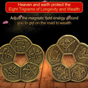 Amulet/Talisman/Eight Trigrams Wealth Fortune/Longevity Wealth/Auspicious Meaning/Protective Decoration/Home Office/Adults Men Women