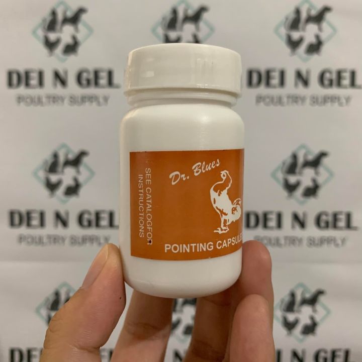 Dr Blues Pointing Capsule for Gamefowl Rooster Lazada PH