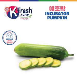 K-Fresh Korean Incubator Pumpkin