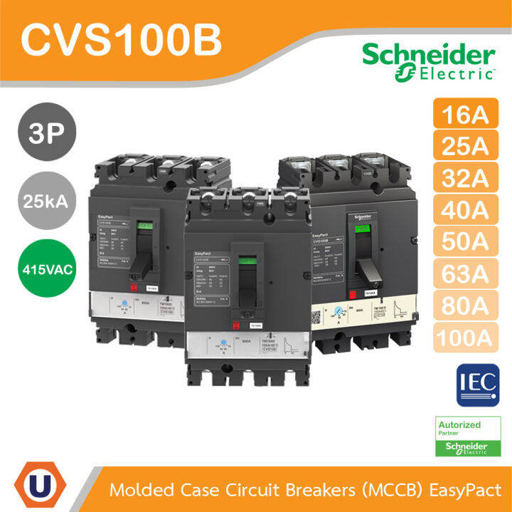 Schneider Circuit Breaker EasyPact CVS100B, 25kA At 415VAC, 16A - 100A ...