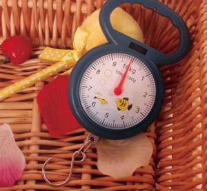 Happy Mall COD 10kg Hanging Scales For Street Stalls Vegetable Markets Kitchen Scales