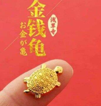 MALAYSIA STOCK 开光仪式日本金钱龟🐢💰Lucky Gold Turtle-Japan