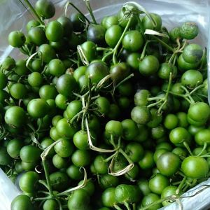 LEUNCA / LENCA SAYURAN SEGAR BANDUNG