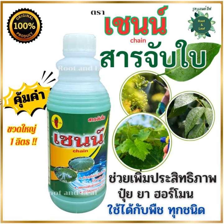เชนน์ สารจับใบสูตรเข้มข้น เพิ่มประสิทธิภาพการดูดซึมพืช