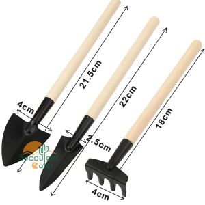 3 in 1 Gardening Plant Tools Set Garden Spade Shovel Rake Peralatan Tanaman 园艺种植工具 多肉仙人掌