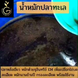 น้ำหมักปลาทะเลบรรจุ 1 ลิตร น้ำหมักชีวภาพเหล่งรวมธาตุอาหาร 16 ชนิด