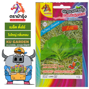 RAINBOW HORSE / 3A 🇹🇭 ผักซอง ม้ารุ้ง Z022 / A022 ตั้งโอ๋ เมล็ดพันธุ์ เมล็ดพันธุ์ผัก เมล็ดพันธุ์ ผักสวนครัว ตราม้ารุ้ง