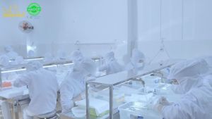 Yến Sào Hoàng Kim Quà Tặng Lộc An Cát Tường (50g Tinh Chế Sợi Định Hình 300g Đường Phèn và 4 Hũ Yến Chưng Ăn Kiêng) – Quà Biếu Sức Khỏe Cho Người Ăn Kiêng